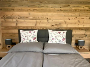 Neues APARTMENT DACHSTEIN - im Haus Wieseneck - direkt an der LOIPE